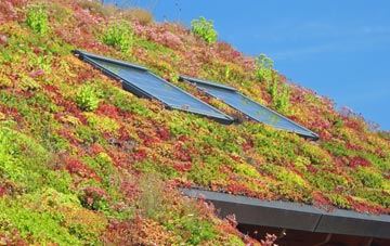 Greenburn living roof systems
